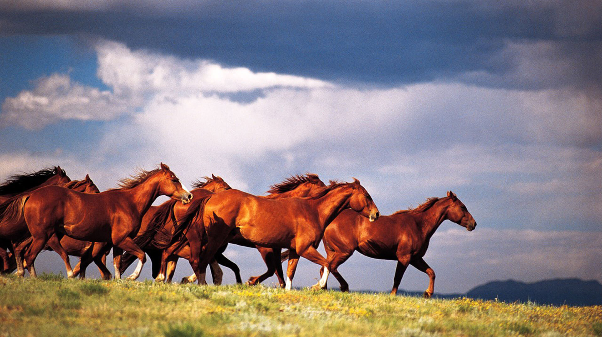 CDJ Rubber Australia Rubber Mats, Mouldings & more